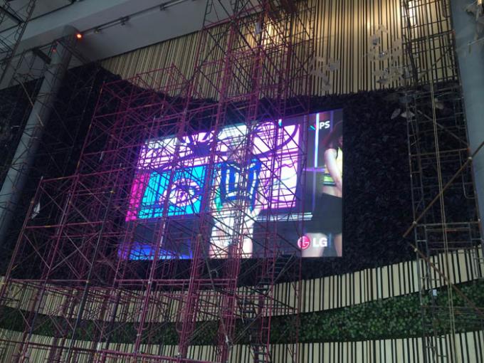 p6 conduziu a exposição de parede video